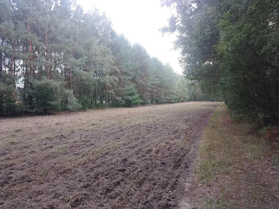 Zdjęcie 6