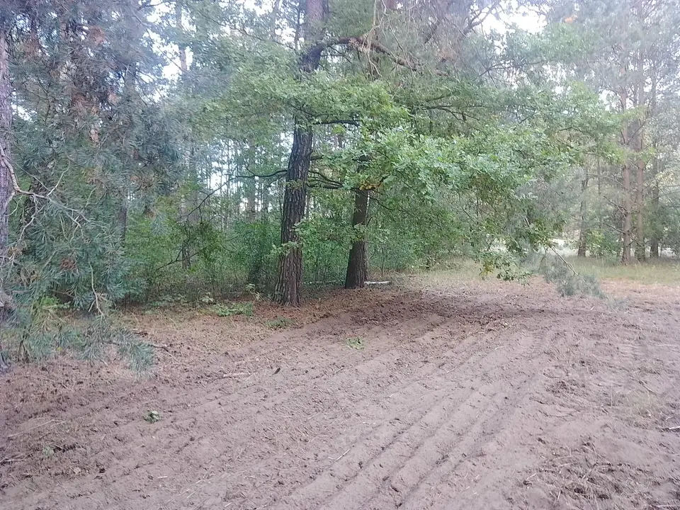 Zdjęcie 8