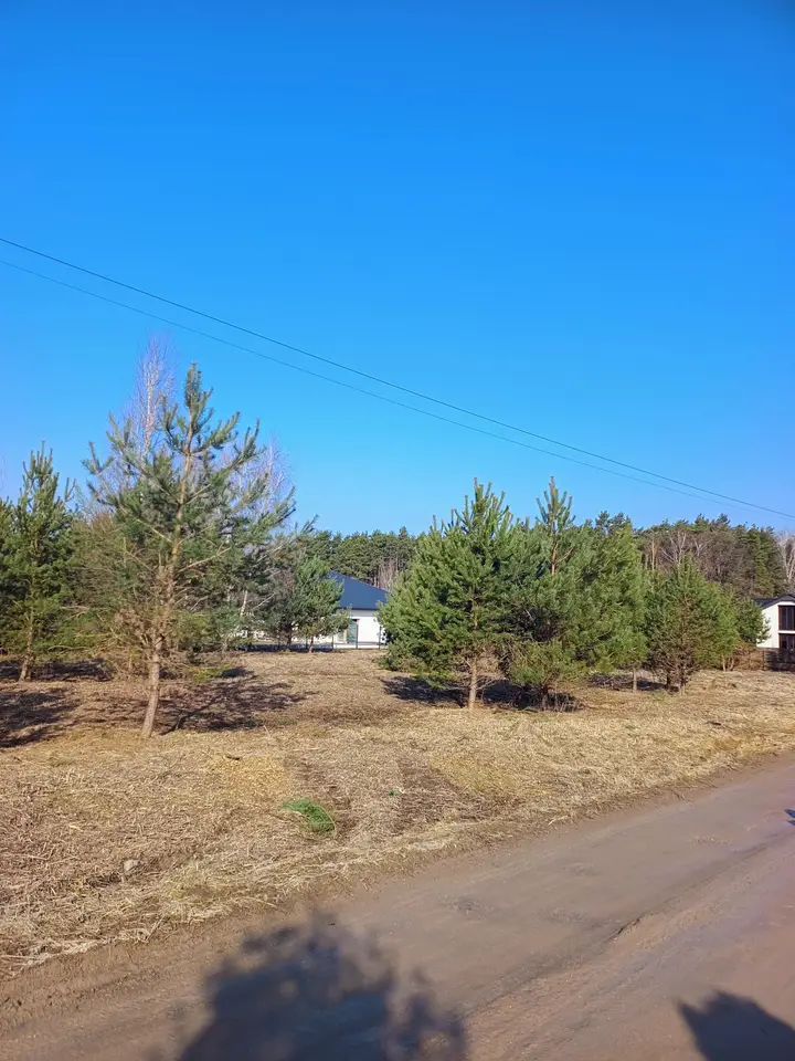 Zdjęcie 8