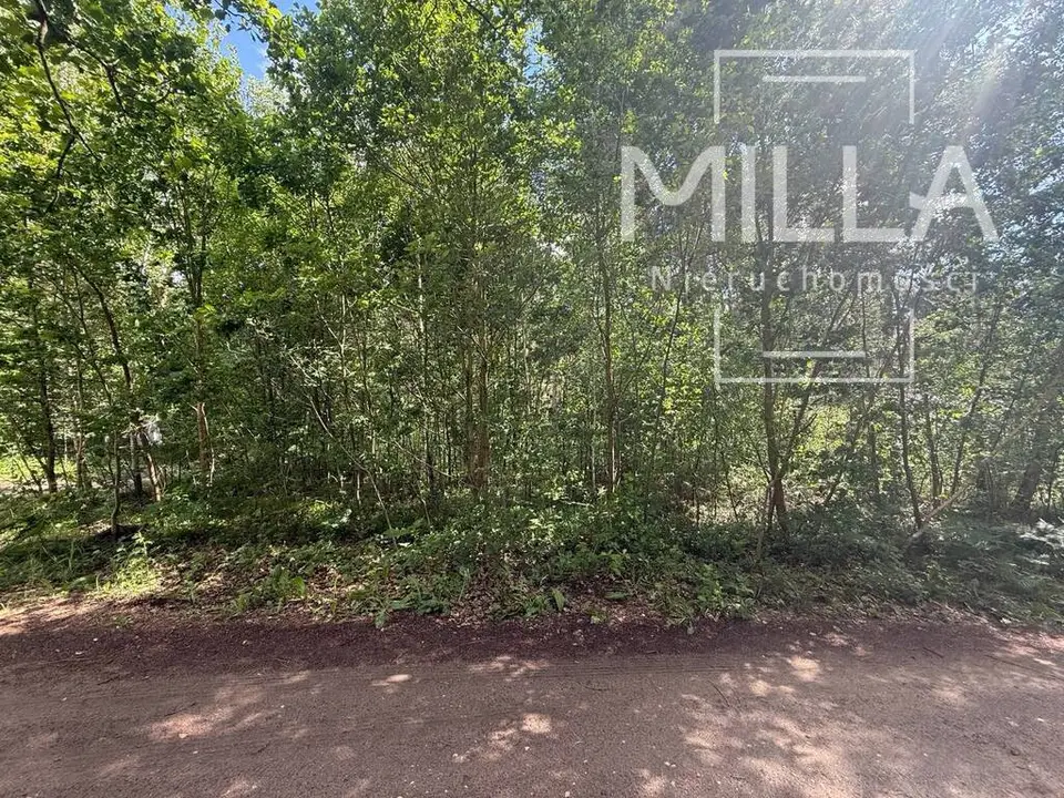 Działka budowlana 2 550 m², Sokolniki-Las