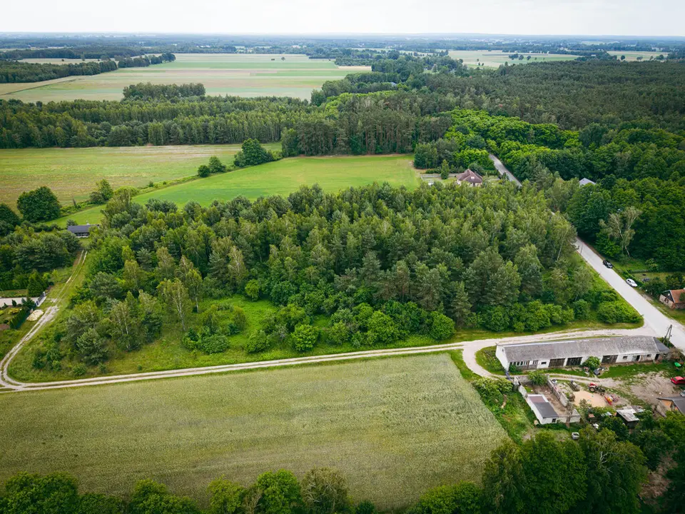 Zdjęcie 11