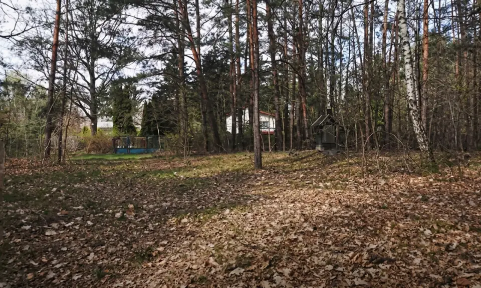 Zdjęcie 2