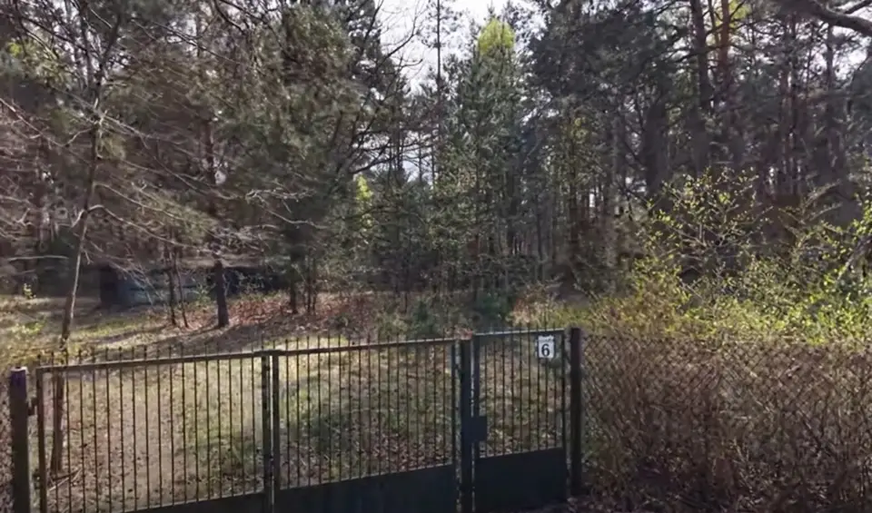 Zdjęcie 3