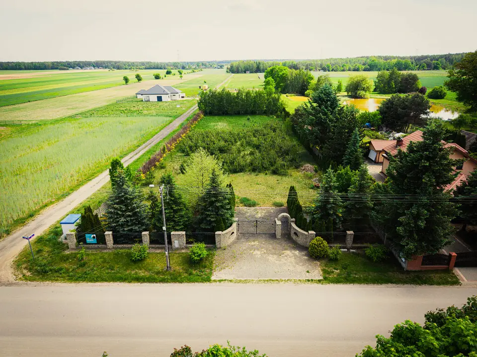 Zdjęcie 12