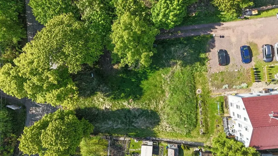 Zdjęcie 12