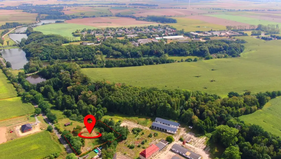 Zdjęcie 15