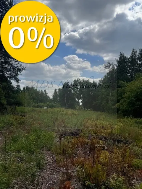 Zdjęcie 2