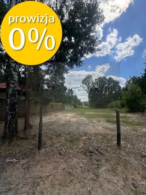 Zdjęcie 7