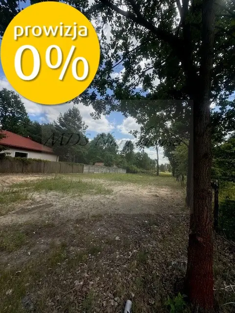 Zdjęcie 9