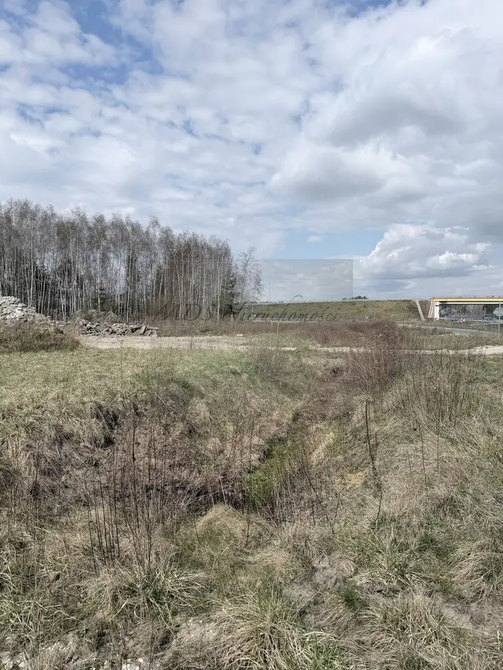 Zdjęcie 2