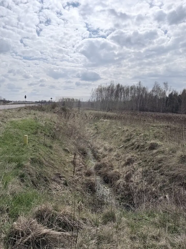 Zdjęcie 5