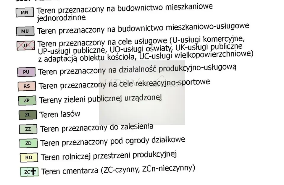 Zdjęcie 9