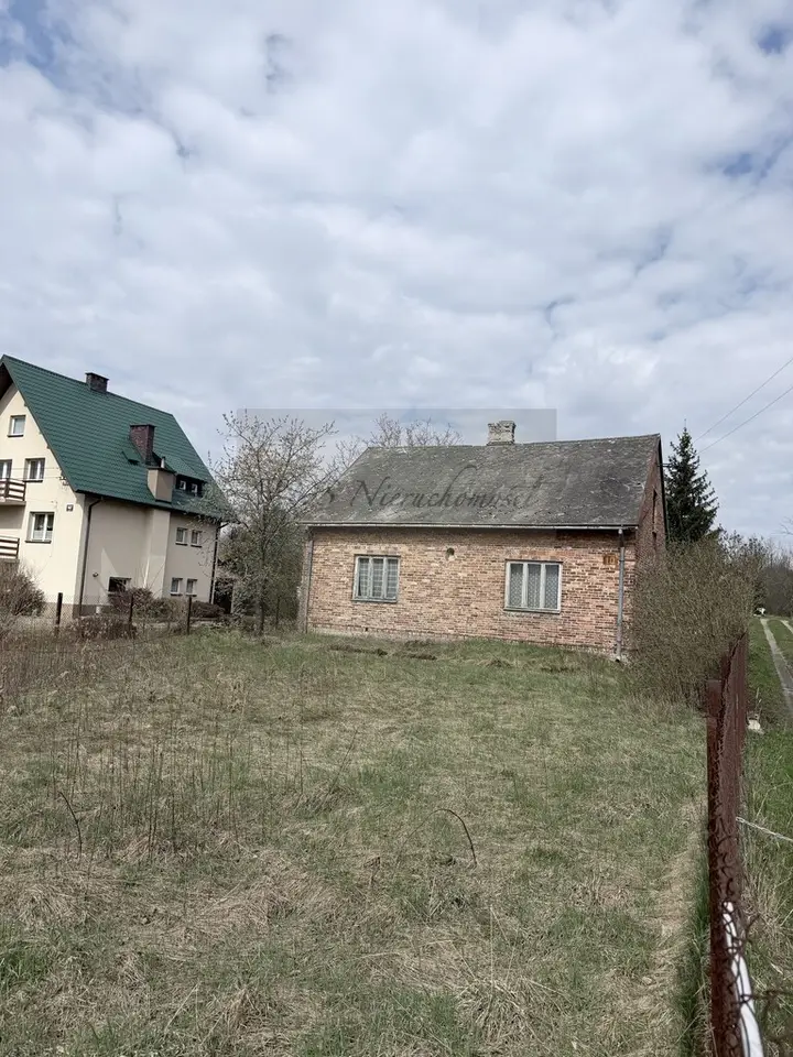 Zdjęcie 2