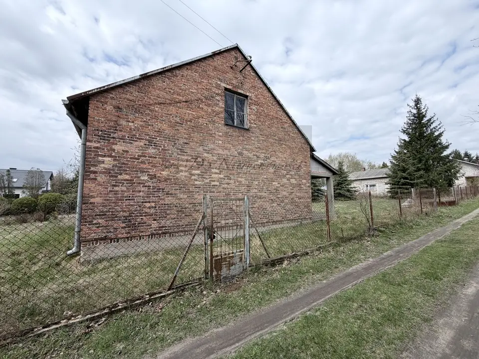 Zdjęcie 10