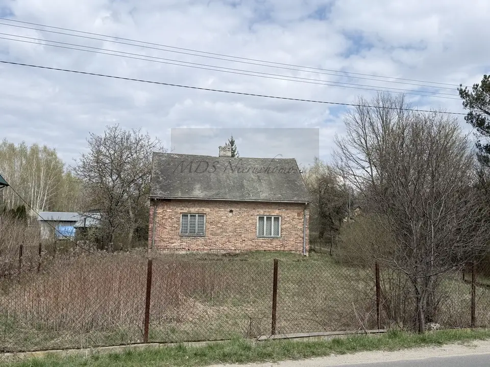 Zdjęcie 12