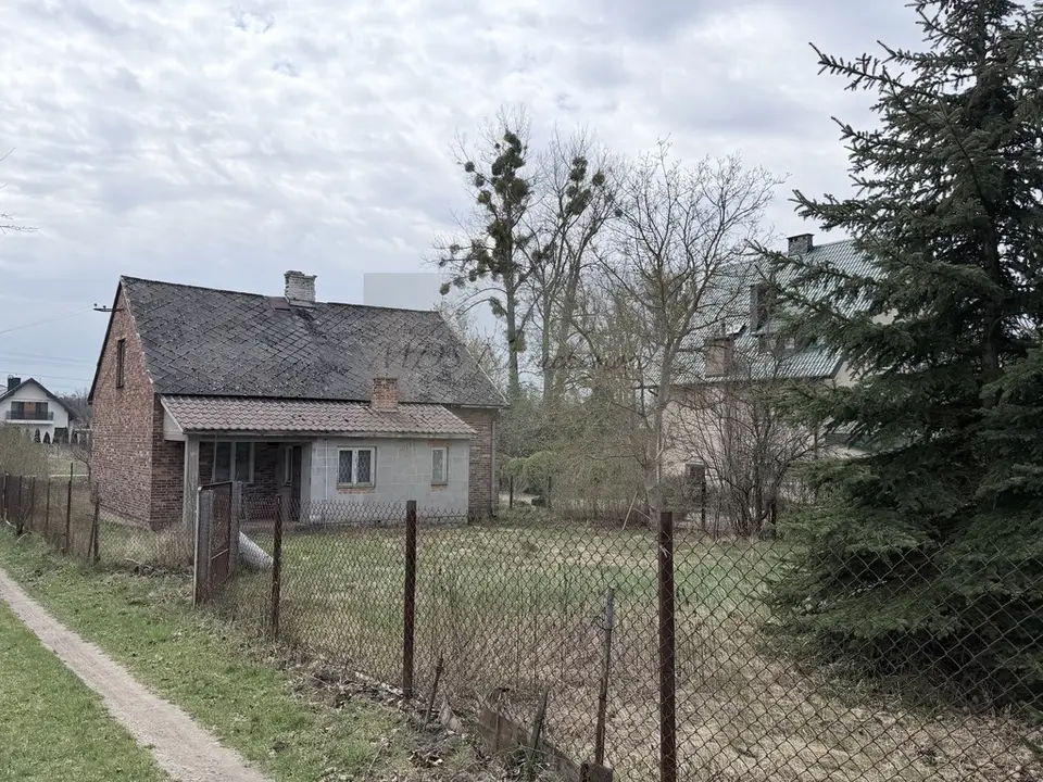 Zdjęcie 14