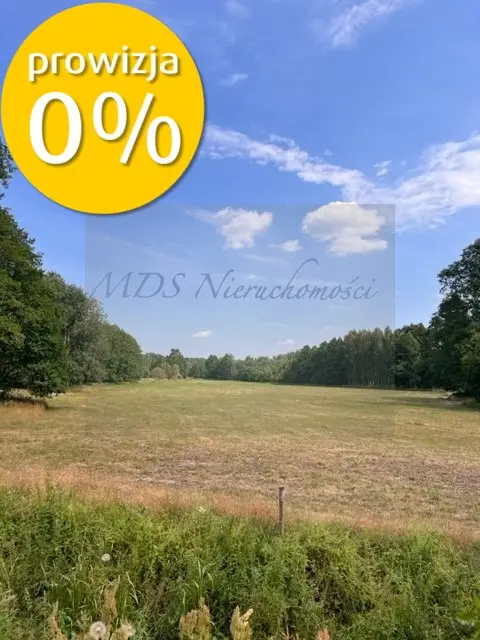 Zdjęcie 2