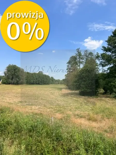 Zdjęcie 3