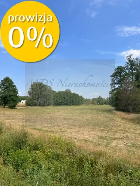 Zdjęcie 5