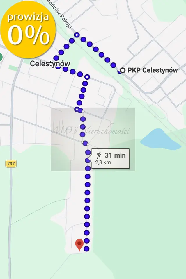 Zdjęcie 6