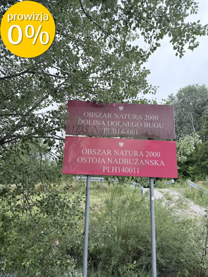 Zdjęcie 2