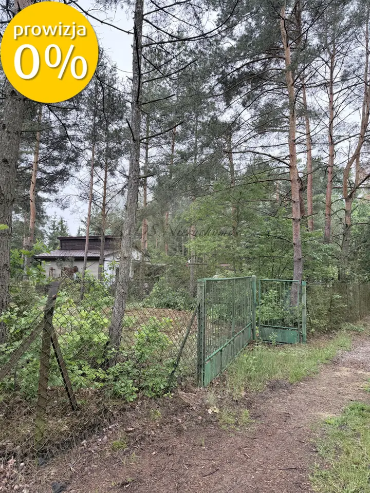 Zdjęcie 4