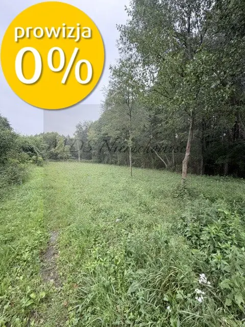 Zdjęcie 2