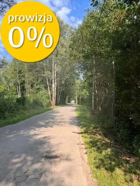 Zdjęcie 5