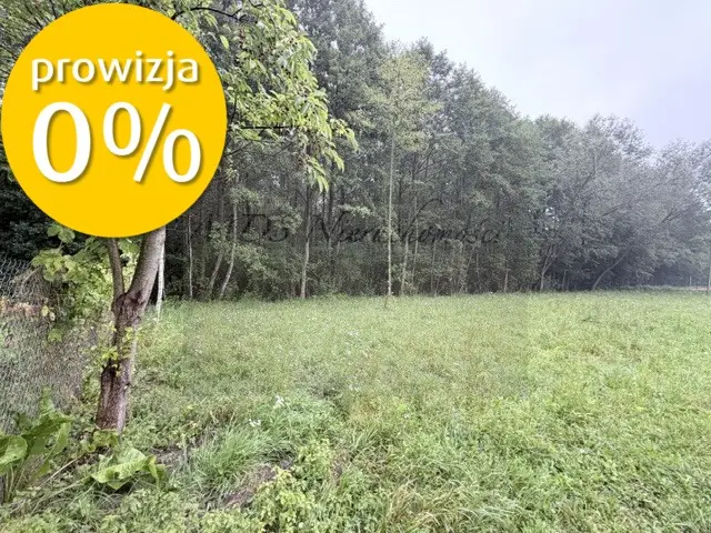 Zdjęcie 9