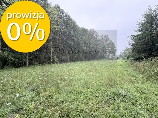 Zdjęcie 10