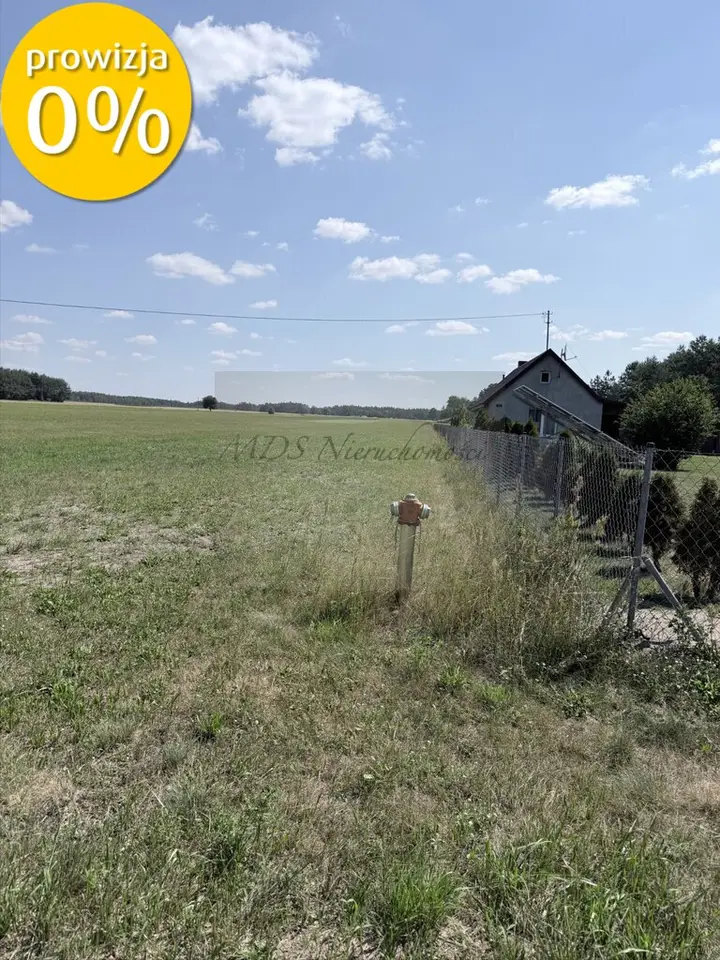 Zdjęcie 2