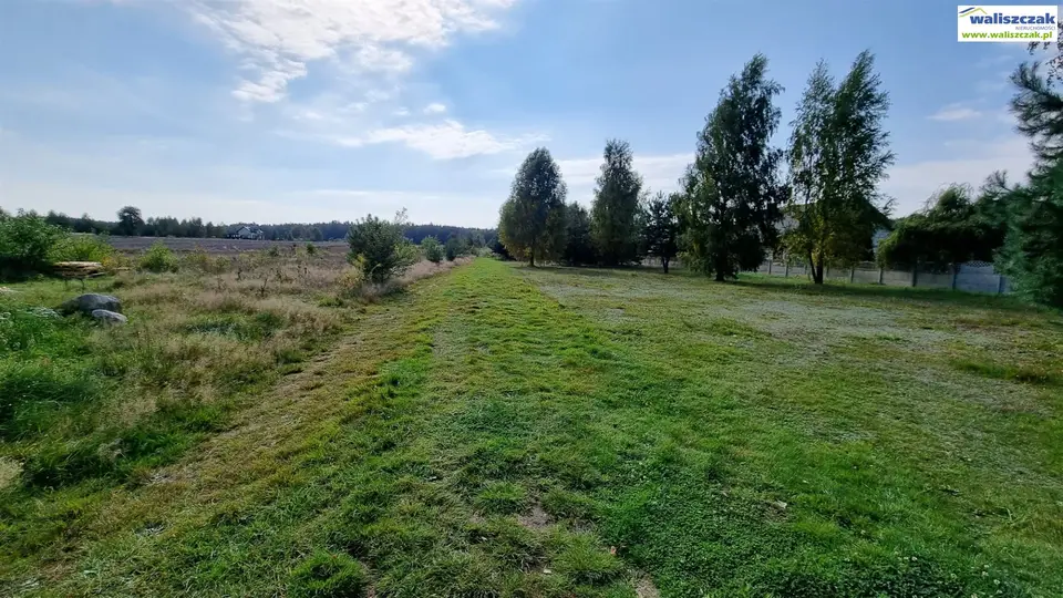 Zdjęcie 3