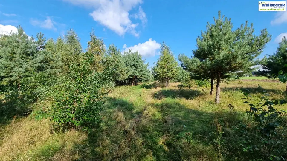Zdjęcie 4