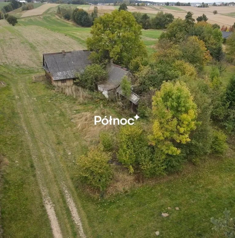 Zdjęcie 3