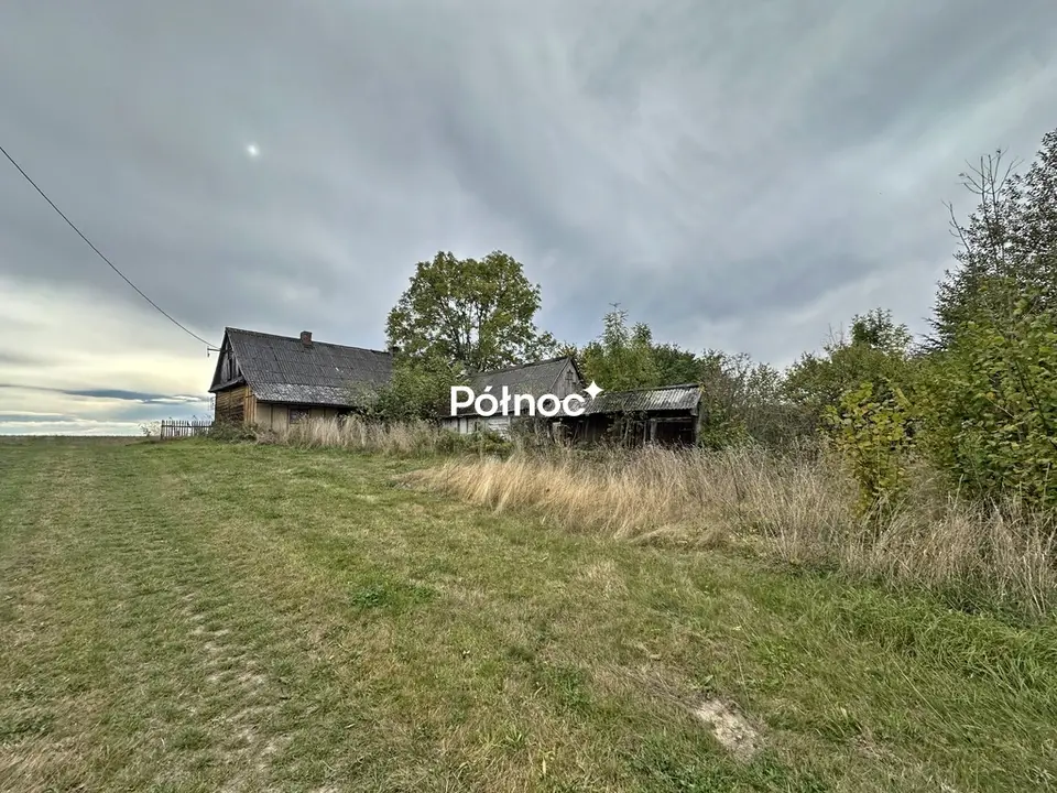 Zdjęcie 5