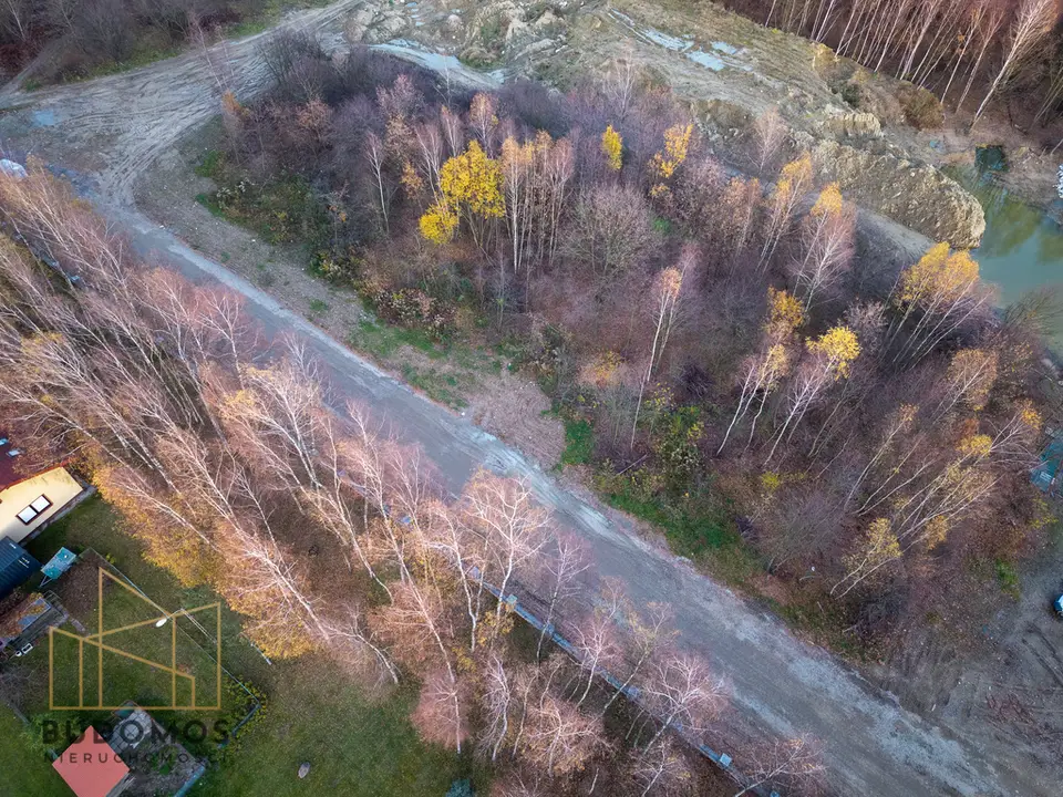 Zdjęcie 15