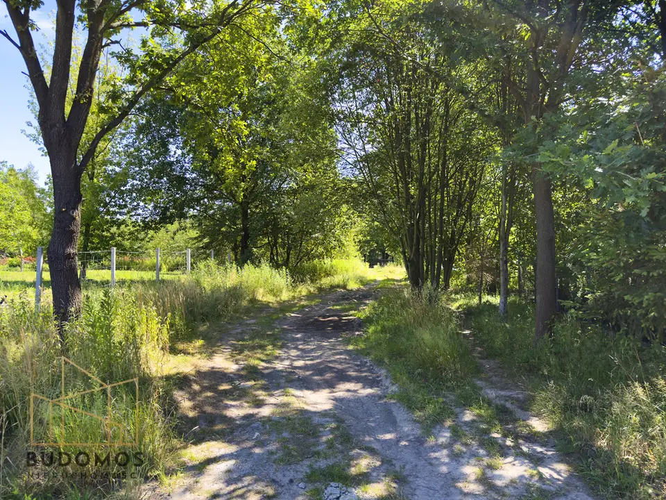 Zdjęcie 6