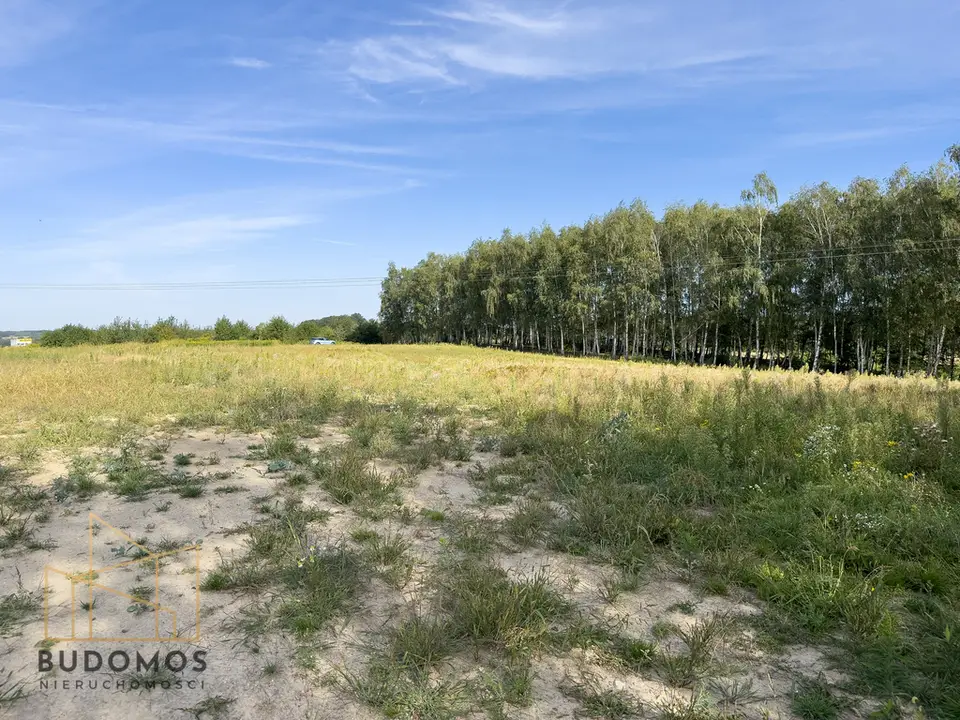 Zdjęcie 6