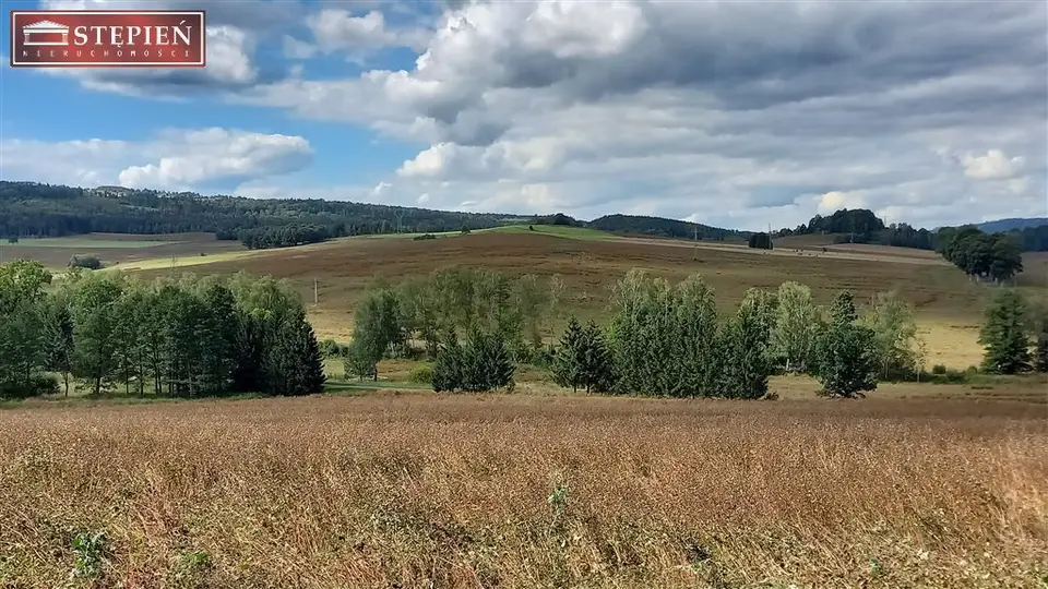 Zdjęcie 8