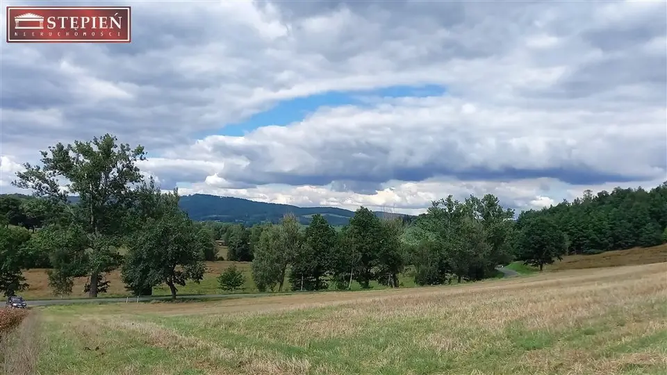 Zdjęcie 11