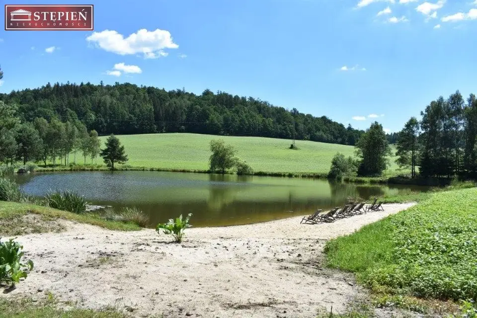 Zdjęcie 12