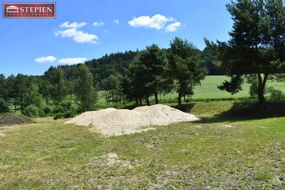 Zdjęcie 14