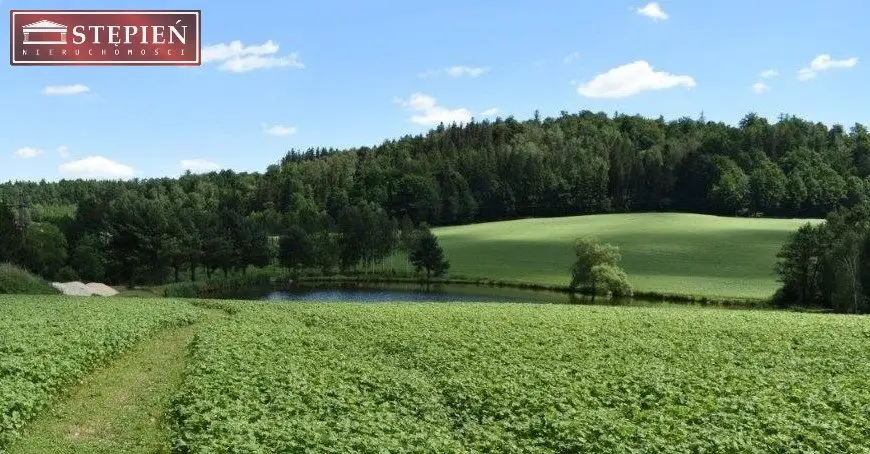 Zdjęcie 15