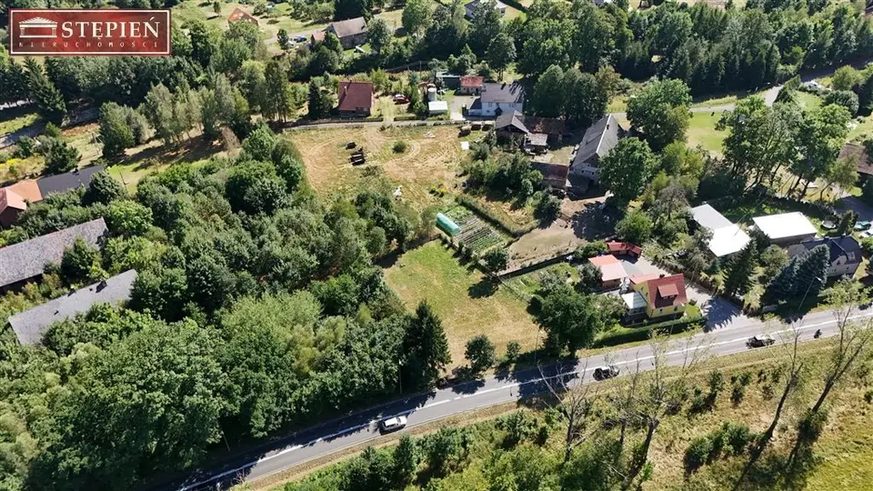 Zdjęcie 8