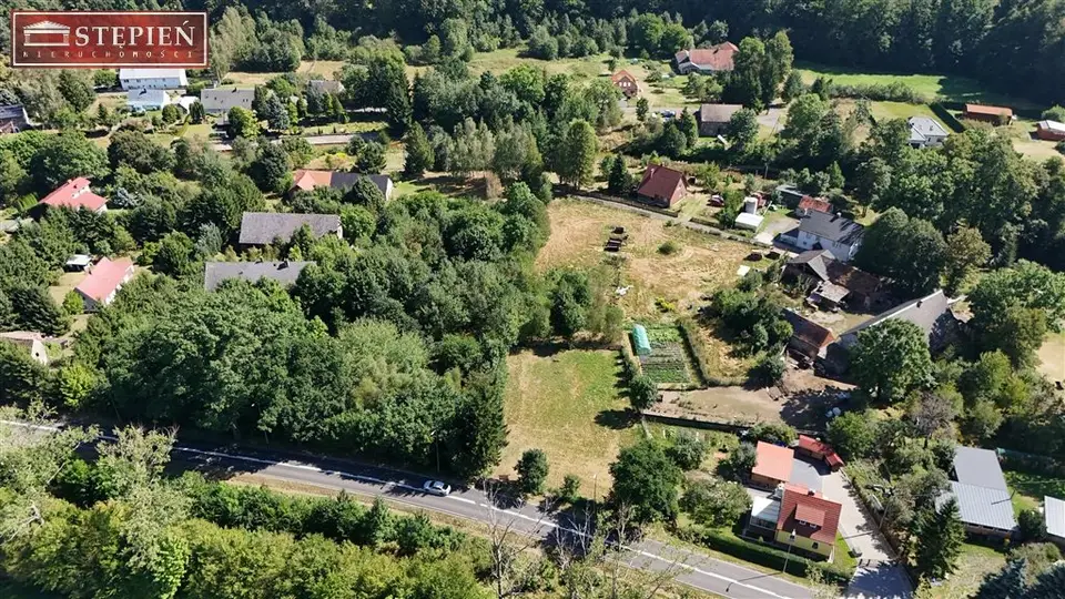 Zdjęcie 11