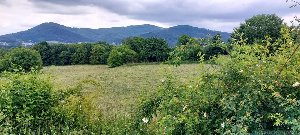 Działka budowlana 7 982 m², Ustroń