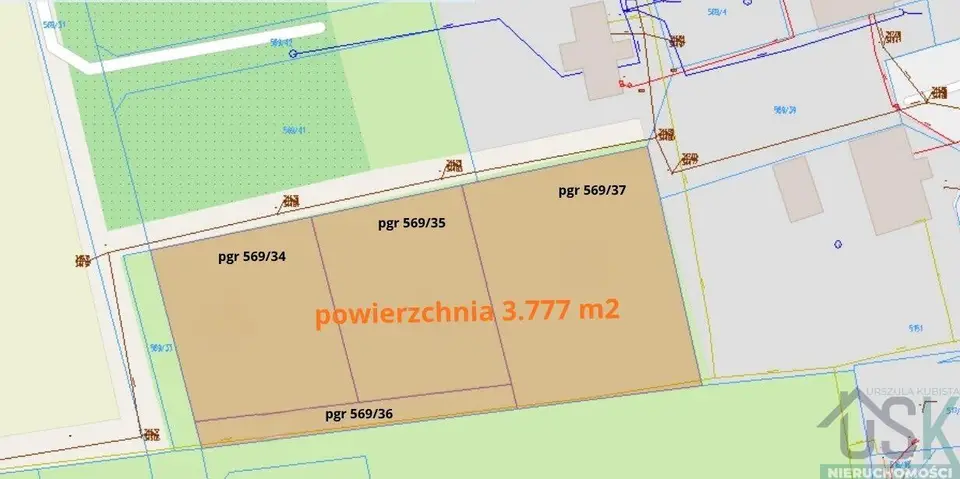 Zdjęcie 4
