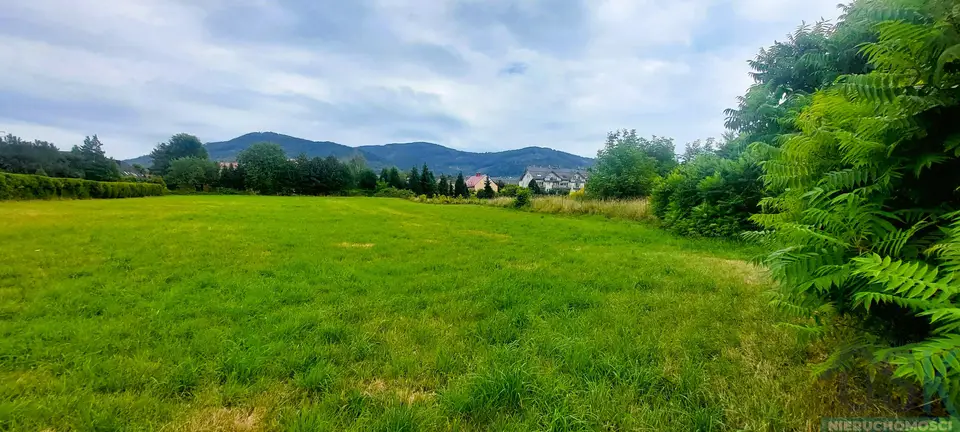 Zdjęcie 5
