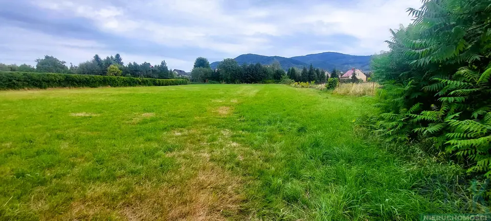 Zdjęcie 7