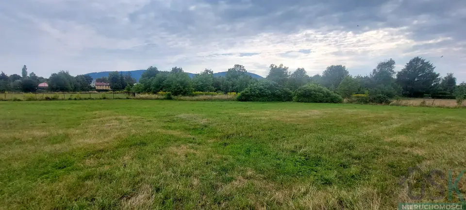 Zdjęcie 8